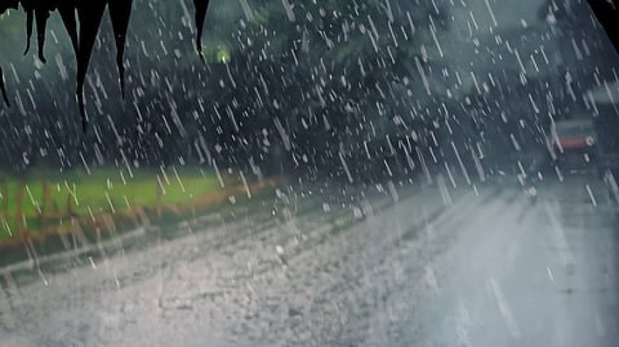 സംസ്ഥാനത്ത് ഇന്ന് രണ്ട് ജില്ലകളിൽ യെല്ലോ അലർട്ട്