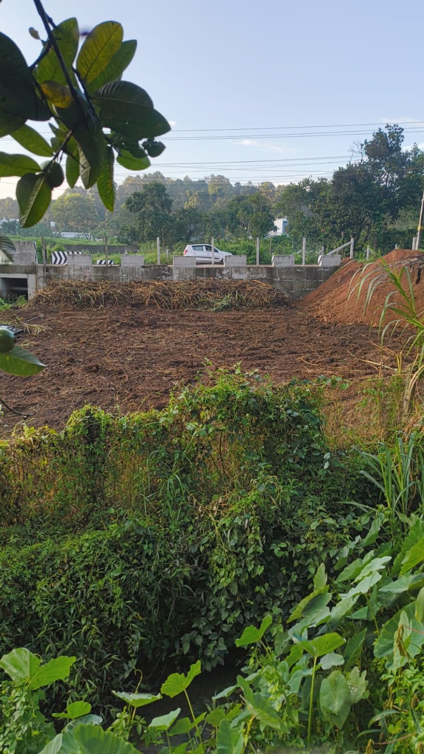 കാഞ്ചിയാർ പാലക്കടയിൽ രാത്രിയുടെ മറവിൽ നിലം നികത്തൽ; നീരൊഴുക്ക് തടസ്സപ്പെടുന്നതായി നാട്ടുകാരുടെ പരാതി.