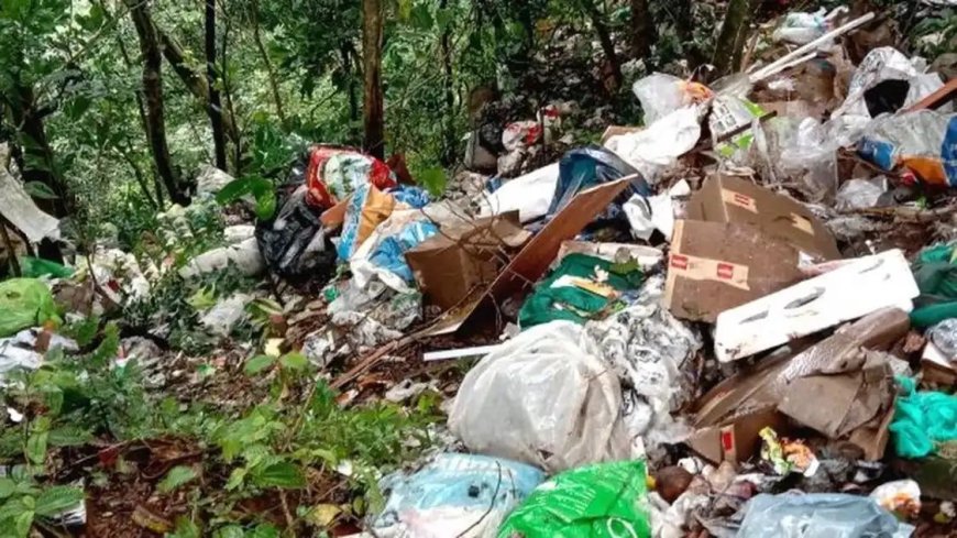 കുട്ടിക്കാനത്ത് വനംവകുപ്പ് ഭൂമിയിൽ മാലിന്യം തള്ളിയ സംഭവം : നിയമനടപടികൾ സ്വീകരിക്കാൻ പീരുമേട് പഞ്ചായത്ത്