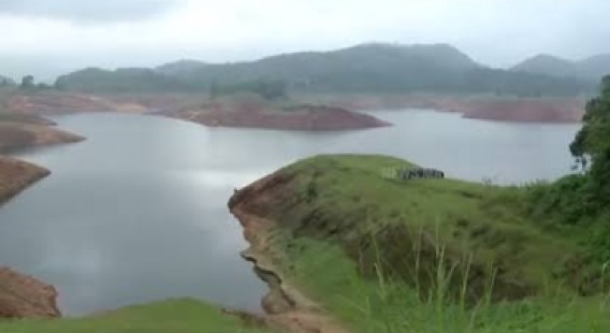 ഇടുക്കിയിൽ കാലവർഷത്തിൽ 62% മഴക്കുറവ്, കൃഷിയും ടൂറിസവും പ്രതിസന്ധിയിൽ