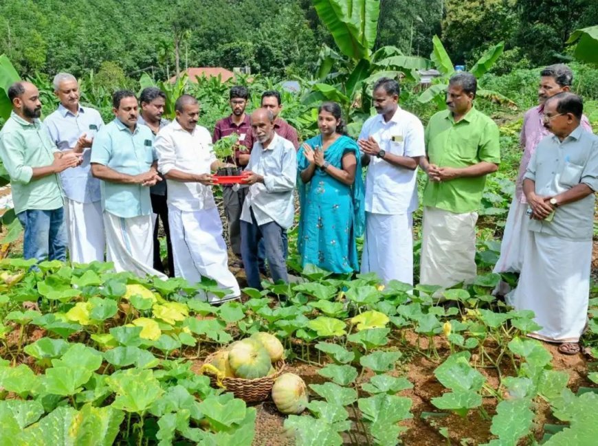 ജൈവ കൃഷിക്ക് കരുത്തായി ആനക്കല്ല് ഫാർമേഴ്സ് സൊസൈറ്റി; 'വിളവൊരുക്കം, വിപണിയിലെ കരുതൽ' പദ്ധതിക്ക് തുടക്കം