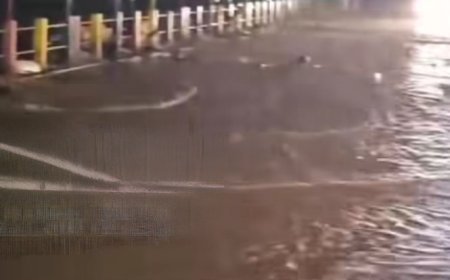 ഈരാറ്റുപേട്ടയിൽ ശക്തമായ മഴ; കോസ്‌വേ പാലങ്ങൾ മുങ്ങി, താഴ്ന്ന പ്രദേശങ്ങളിൽ വെള്ളപ്പൊക്കം