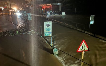 മീനച്ചിലാറ്റിൽ ജലനിരപ്പ് ഉയരുന്നു; കോട്ടയം ജില്ലയിൽ വ്യാപക വെള്ളപ്പൊക്കവും ഗതാഗത തടസ്സവും
