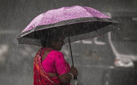 കനത്ത മഴ; കോട്ടയത്ത് ദുരിതാശ്വാസ ക്യാമ്പുകൾ തുറന്നു, ജാഗ്രത നിർദേശവുമായി ജില്ലാ കളക്ടർ