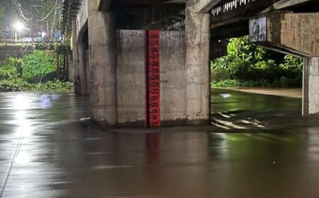 കനത്ത മഴ : പാലാ മേഖലയിൽ ജലനിരപ്പ് ഉയരുന്നു; ജാഗ്രത തുടരാൻ നിർദേശം