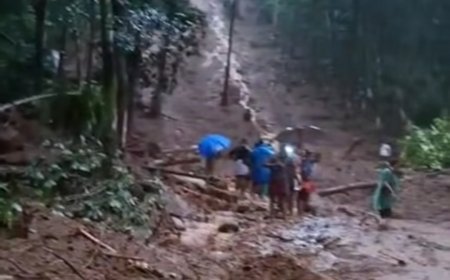 പൂഞ്ഞാർ പയ്യാനിത്തോട്ടത്ത് ഉരുൾപൊട്ടൽ