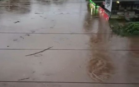 പാലാ നിയോജക മണ്ഡലത്തിൽ അതീവ ജാഗ്രത; ഉരുൾപൊട്ടലും വെള്ളപ്പൊക്ക ഭീഷണിയും