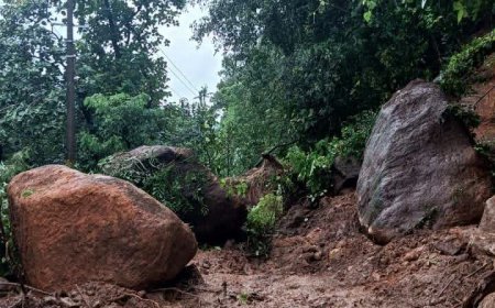 മണ്ണിടിച്ചിൽ : തീക്കോയി–വാഗമൺ റോഡിൽ ഗതാഗതം തടസ്സപ്പെട്ടു