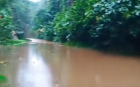തൊമ്മൻകുത്തിൽ വെള്ളപ്പൊക്കം; പാലം മുങ്ങി, വീടിന്റെ മുകളിൽ കുടുങ്ങിയവർക്കായി രക്ഷാപ്രവർത്തനം തുടരുന്നു