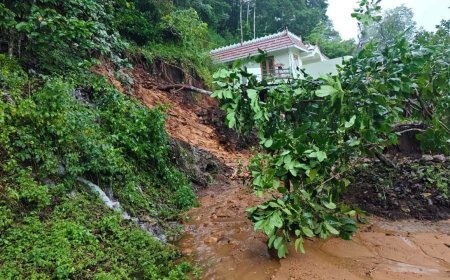 ചപ്പാത്ത് – പൊരികണ്ണി – ഉപ്പുതറ റോഡിൽ മണ്ണിടിച്ചിൽ; ഗതാഗതം തടസ്സപ്പെട്ടു