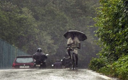സംസ്ഥാനത്ത് മഴക്കെടുതി: മന്ത്രിമാരും ജില്ലാ കളക്ടർമാരും ചേർന്ന് ദുരിതാശ്വാസ പ്രവർത്തനങ്ങൾ ഏകോപിപ്പിക്കും