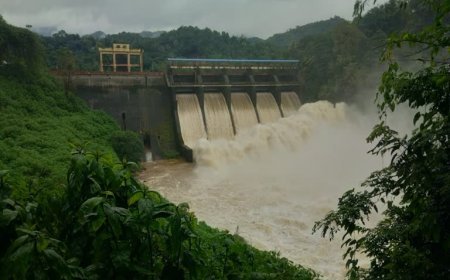 ഇടുക്കിയിൽ 2 ഡാമുകൾ ഉൾപ്പെടെ സംസ്ഥാനത്തെ 6 ഡാമുകളിൽ റെഡ് അലർട്ട് പ്രഖ്യാപിച്ചു