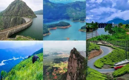 ഇടുക്കിയിൽ വിനോദസഞ്ചാരത്തിന് പൂർണ നിരോധനം; ടൂറിസ്റ്റ് വാഹനങ്ങൾക്കും പ്രവേശന വിലക്ക്