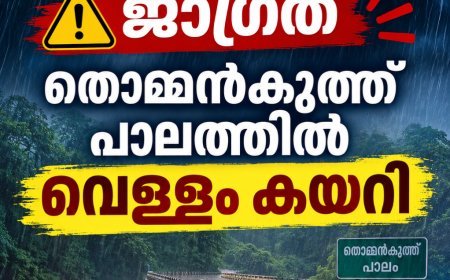 വണ്ണപ്പുറം മേഖലയിലും കനത്ത മഴ : തൊമ്മൻകുത്ത് പാലത്തിൽ വെള്ളം കയറി