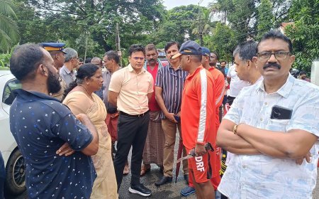 മഴക്കെടുതി: ദുരന്തനിവാരണത്തിന് എൻ.ഡി.ആർ.എഫ് സംഘം ജില്ലയിൽ