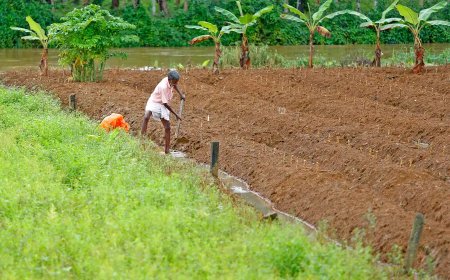 കർഷക ദിനം 2026: കർഷക അവാർഡിന് അപേക്ഷ ക്ഷണിച്ചു