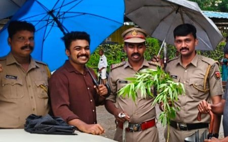 ഓപ്പറേഷൻ തണ്ടർ: പാമ്പാടി ബസ് സ്റ്റാൻഡിൽ നിന്ന് കഞ്ചാവ് ചെടി കണ്ടെത്തി