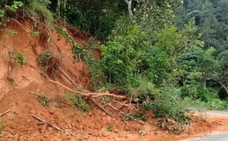 വെള്ളയാംകുടിക്ക് സമീപം ദേശീയപാതയിലേക്ക് വീണ മണ്ണ് നീക്കാത്തത് അപകടഭീഷണി ഉയർത്തുന്നു
