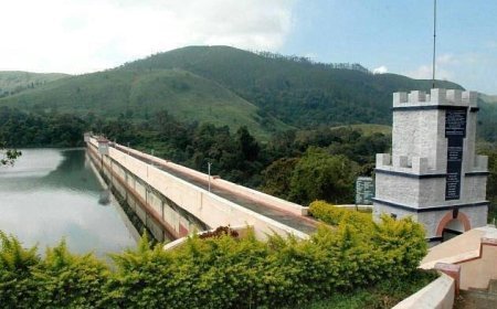 മുല്ലപ്പെരിയാർ: കേരളം മൗനം പാലിക്കരുത്, ഇടുക്കി ജനപ്രതിനിധികൾ അടിയന്തരമായി ഇടപെടണം – ഇല നേച്ചർ ഫൗണ്ടേഷൻ