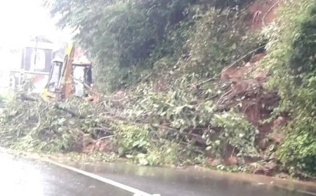 ആദ്യ മഴയിൽ തന്നെ കുളമായി കുട്ടിക്കാനം–കട്ടപ്പന മലയോര ഹൈവേ; അശാസ്ത്രീയ നിർമ്മാണത്തിനെതിരെ വിമർശനം ശക്തം