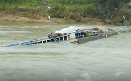 പ്രളയക്കെടുതി: ഇളപ്പുങ്കൽ–കാരക്കാട് നടപ്പാലം വീണ്ടും തകർന്നു