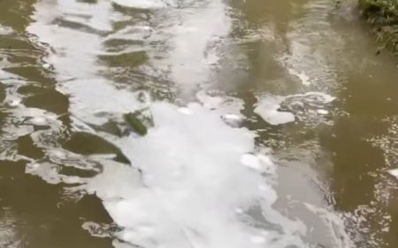 കൂട്ടാർ പുഴയിൽ പഞ്ഞിക്കെട്ട് പോലെ പത; ആശങ്കയിൽ നാട്ടുകാർ