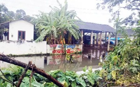 വെള്ളക്കെട്ടൊഴിയാതെ കോട്ടയം നഗരം; കോടിമതയിലും ഈരയിൽക്കടവിലും ദുരിതം രൂക്ഷം