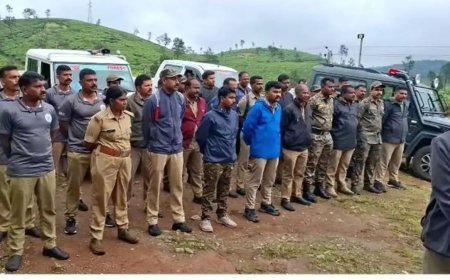 ജനവാസ മേഖലയിൽ കാട്ടാനക്കൂട്ടം; പട്രോളിങ് ശക്തമാക്കി വനംവകുപ്പ്