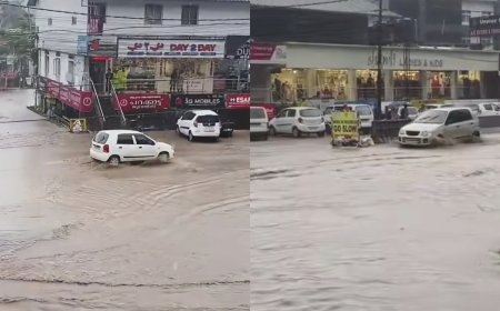 ഇടുക്കിയുടെ മലയോര മേഖലയിൽ മഴ കനക്കുന്നു;അടിമാലിയിൽ ശക്തമായ മഴ