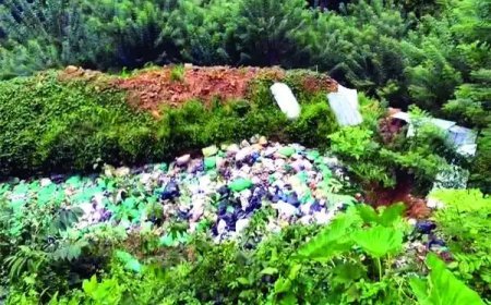 കണയങ്കവയലിൽ പന്നിഫാമിന്റെ മറവിൽ മാലിന്യ നിക്ഷേപമെന്ന് പരാതി