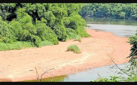 തൊടുപുഴ ആറിലും മലങ്കരയിലും അടിഞ്ഞുകൂടിയ മണലും ചെളിയും; ശാസ്ത്രീയ പഠനം വേണമെന്ന് ആവശ്യം