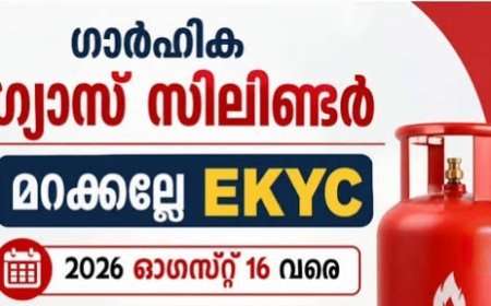 ഗ്യാസ് സബ്‌സിഡി മുടങ്ങാം; എൽപിജി e-KYC ഓഗസ്റ്റ് 16നകം പൂർത്തിയാക്കണം