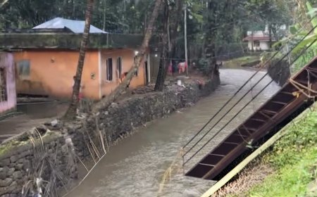 പ്രളയത്തിൽ ഒഴുകിപ്പോയ പാലം വീണ്ടെടുത്ത് ടീം റെസ്ക്യൂ ഫോഴ്സ് കേരള : മൂന്ന് കുടുംബങ്ങൾക്ക് ഇനി ആശ്വാസത്തിന്റെ വഴി
