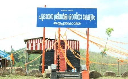 കർക്കിടക വാവുബലി: അയ്യപ്പൻകോവിൽ ക്ഷേത്രത്തിൽ സുരക്ഷാ ക്രമീകരണങ്ങൾ ശക്തമാക്കും