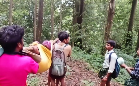 റോഡില്ല; ഇടമലക്കുടിയിൽ ഇന്നും രോഗികൾക്ക് കാട്ടുവഴിയിലൂടെ ദുരിതയാത്ര