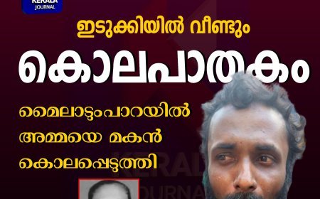 ഇടുക്കിയെ നടുക്കി വീണ്ടും അരുംകൊല; മൈലാടുംപാറയിൽ അമ്മയെ മകൻ കൊലപ്പെടുത്തി