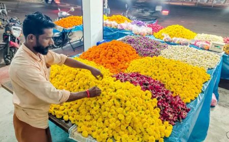 പൂക്കളത്തിന് ‘പൊന്നുംവില’; ഓണക്കാലത്ത് പൂക്കളുടെ വില കുതിക്കുന്നു