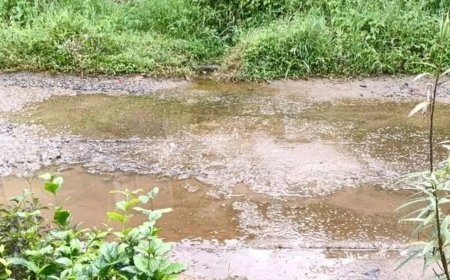 ലോണ്ടറിയിൽ ഗുരുതര ക്രമക്കേട്; മലിനജലം കുളത്തിലേക്കും തോട്ടിലേക്കും ഒഴുക്കിയതായി കണ്ടെത്തൽ