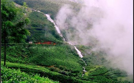 പശ്ചിമഘട്ട ഇഎസ്‌എ പ്രതിസന്ധി അടിയന്തരമായി പരിഹരിക്കണം: ഇടുക്കി രൂപത