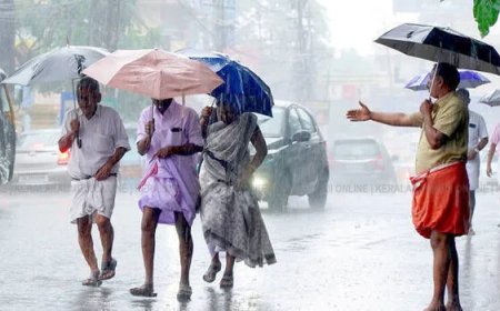 സംസ്ഥാനത്ത് മഴ ശക്തമാകുന്നു; ഇന്ന് എട്ട് ജില്ലകളിൽ യെല്ലോ അലേർട്ട്