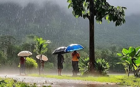 തിരുവോണം മഴയിൽ കുതിരുമോ?; ഇന്നും മഴ തുടരും, ആറ് ജില്ലകളിൽ യെല്ലോ അലർട്ട്