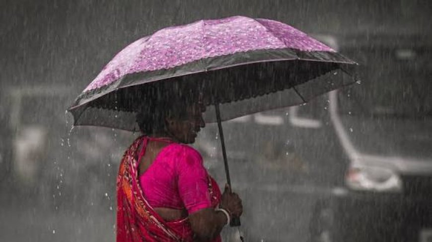 കനത്ത മഴ; കോട്ടയത്ത് ദുരിതാശ്വാസ ക്യാമ്പുകൾ തുറന്നു, ജാഗ്രത നിർദേശവുമായി ജില്ലാ കളക്ടർ