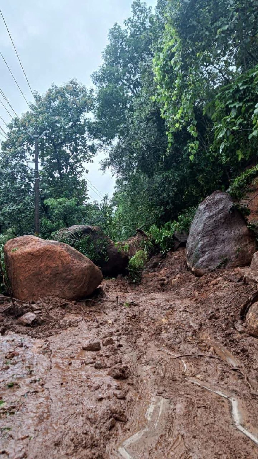 മണ്ണിടിച്ചിൽ : തീക്കോയി–വാഗമൺ റോഡിൽ ഗതാഗതം തടസ്സപ്പെട്ടു
