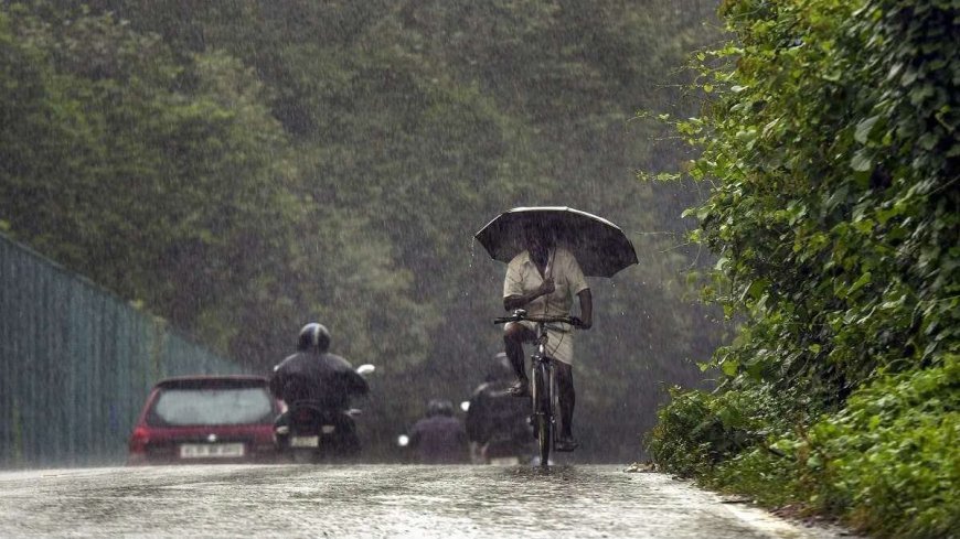 സംസ്ഥാനത്ത് മഴക്കെടുതി: മന്ത്രിമാരും ജില്ലാ കളക്ടർമാരും ചേർന്ന് ദുരിതാശ്വാസ പ്രവർത്തനങ്ങൾ ഏകോപിപ്പിക്കും