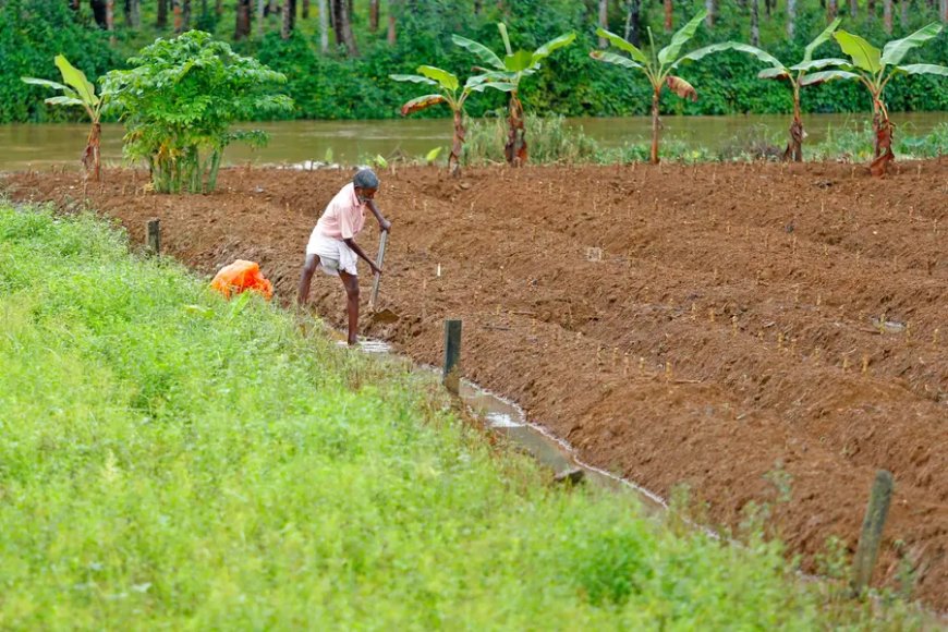 കർഷക ദിനം 2026: കർഷക അവാർഡിന് അപേക്ഷ ക്ഷണിച്ചു