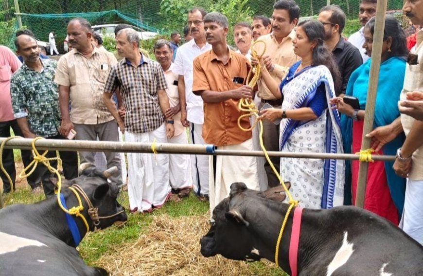 മലവെള്ളപ്പാച്ചിലിൽ പശുക്കളെ നഷ്ടപ്പെട്ട അനിൽകുമാറിന് ആശ്വാസമായി നാല് പശുക്കൾ കൈമാറി