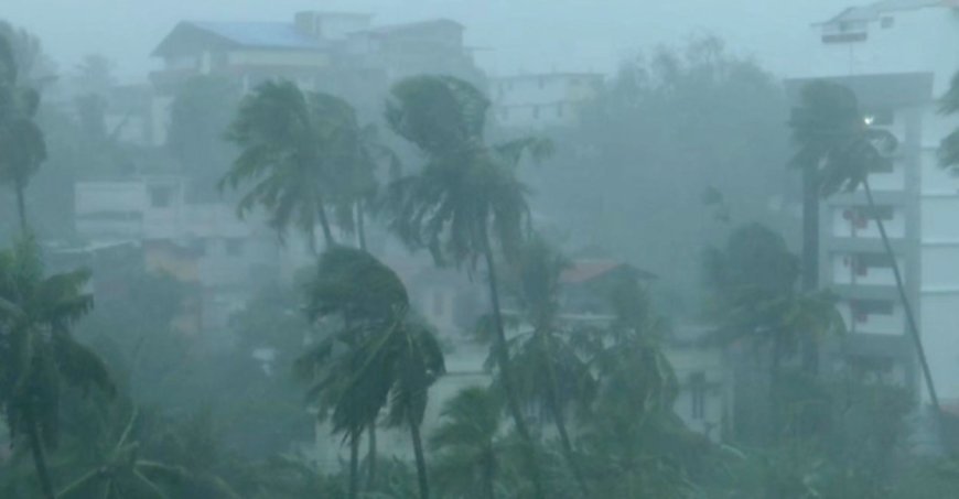 റെഡ് അലർട്ട്; പാലായിൽ കനത്ത മഴ തുടരുന്നു