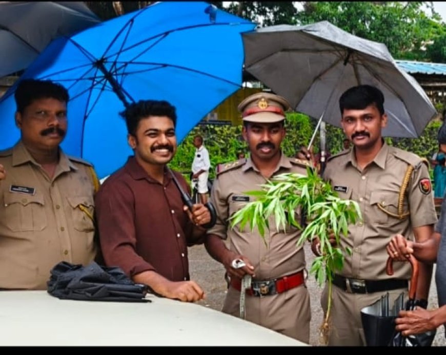 ഓപ്പറേഷൻ തണ്ടർ: പാമ്പാടി ബസ് സ്റ്റാൻഡിൽ നിന്ന് കഞ്ചാവ് ചെടി കണ്ടെത്തി