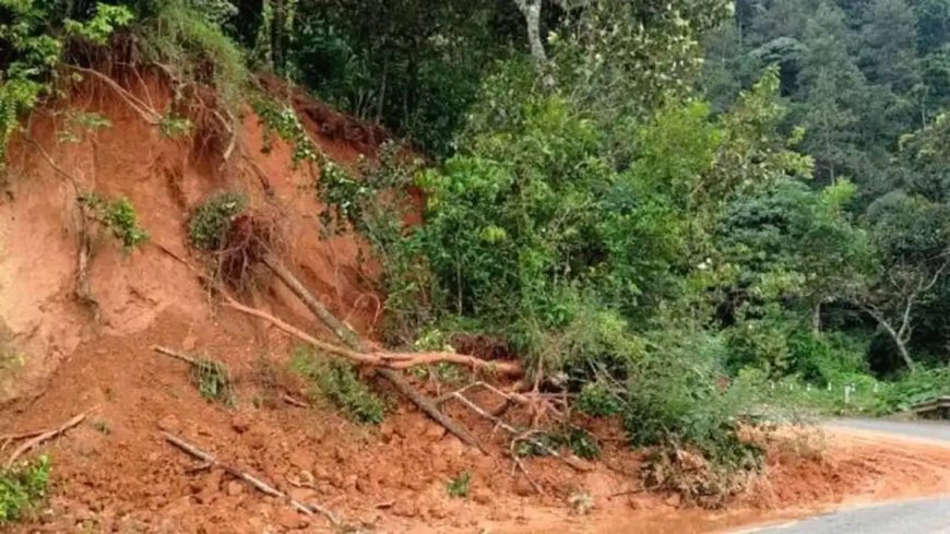 വെള്ളയാംകുടിക്ക് സമീപം ദേശീയപാതയിലേക്ക് വീണ മണ്ണ് നീക്കാത്തത് അപകടഭീഷണി ഉയർത്തുന്നു