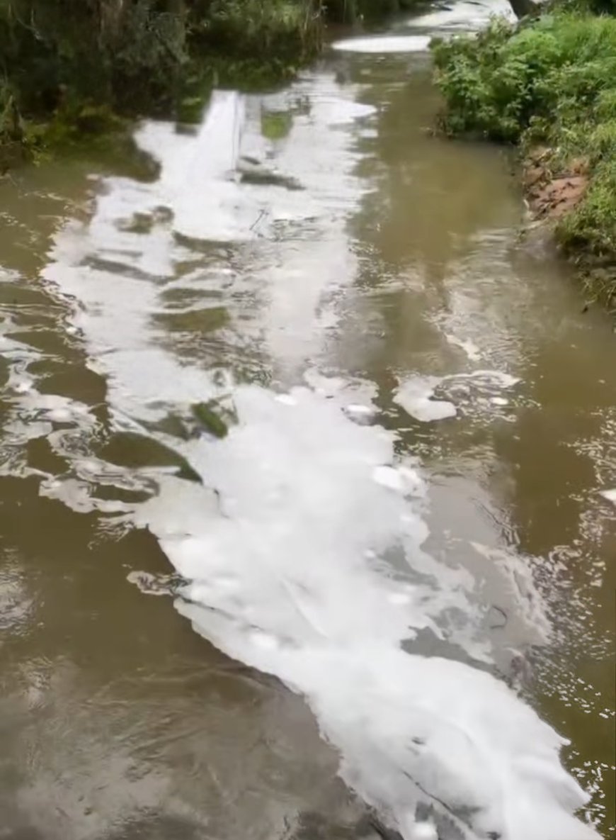 കൂട്ടാർ പുഴയിൽ പഞ്ഞിക്കെട്ട് പോലെ പത; ആശങ്കയിൽ നാട്ടുകാർ
